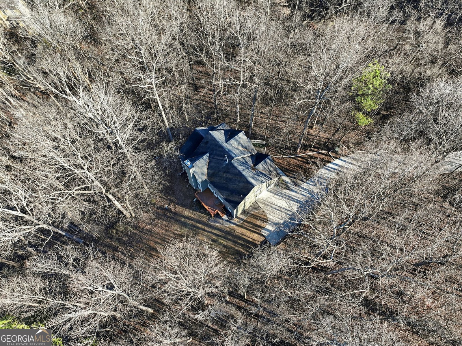 9240 Old Preserve Trail Ball Ground - Photo 46