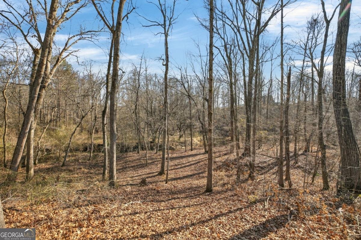 424 Delane Drive Dallas - Photo 24