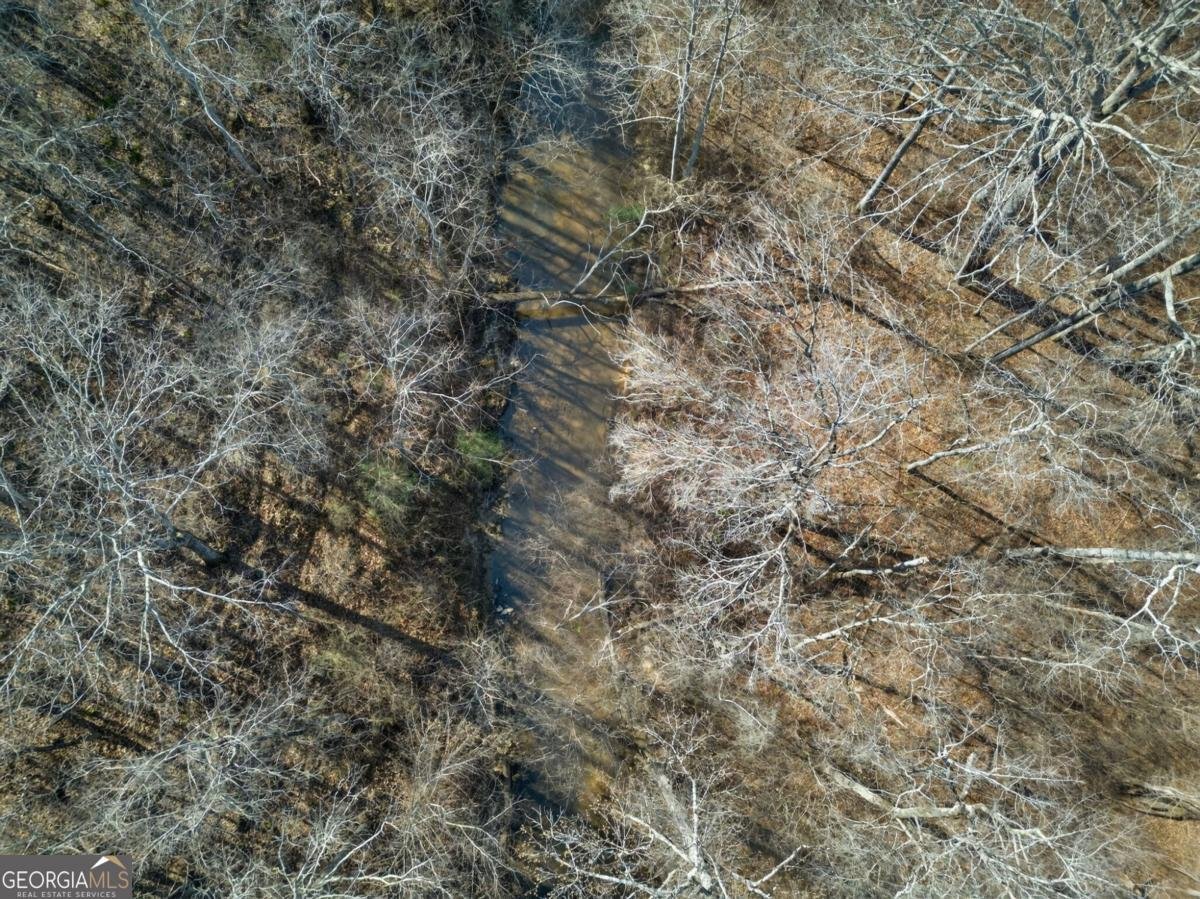 424 Delane Drive Dallas - Photo 27