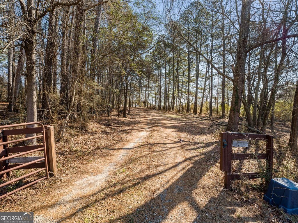 3125 Rosebud Road Loganville - Photo 28