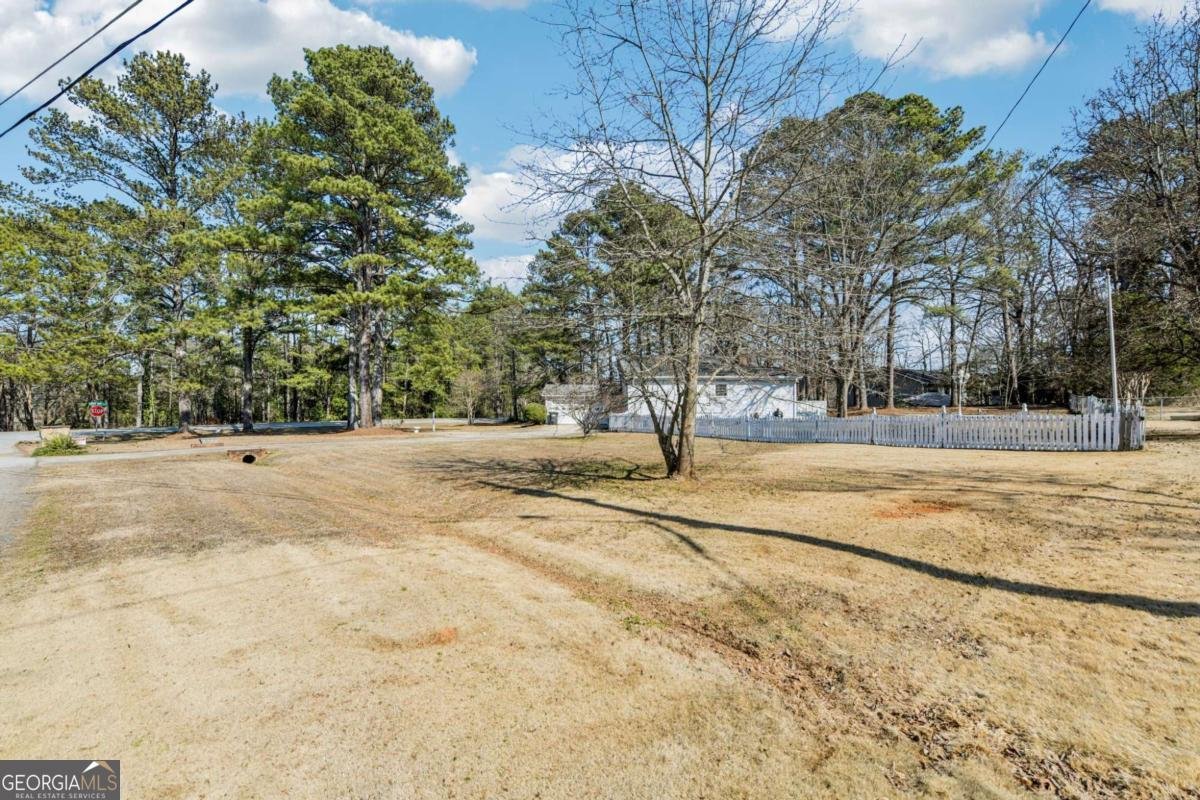 3950 Joyce Court Conyers - Photo 37