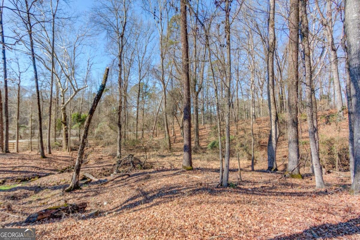 2918 Holders Siding Road Jefferson - Photo 48