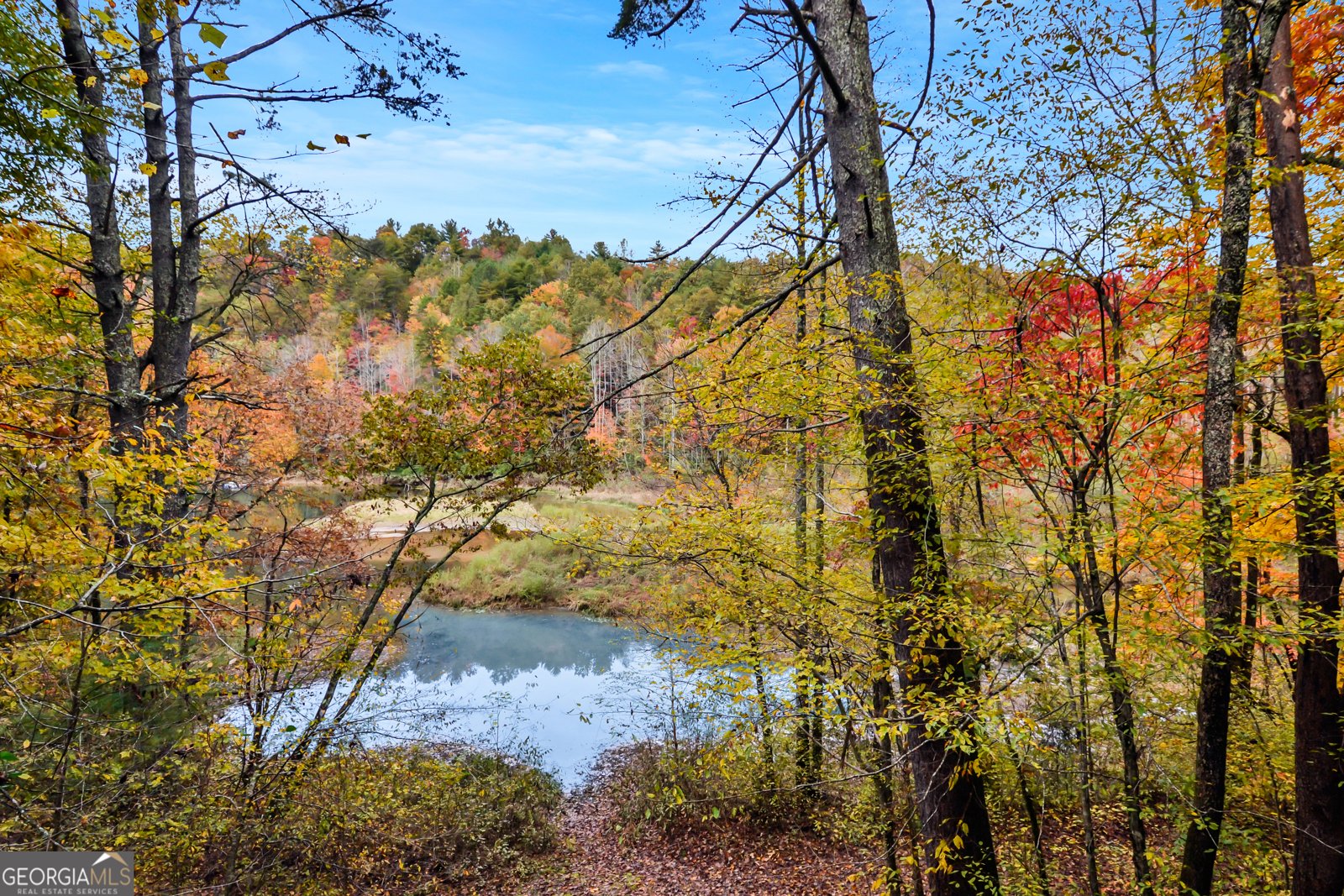 4057 Whitepath Road Ellijay - Photo 25