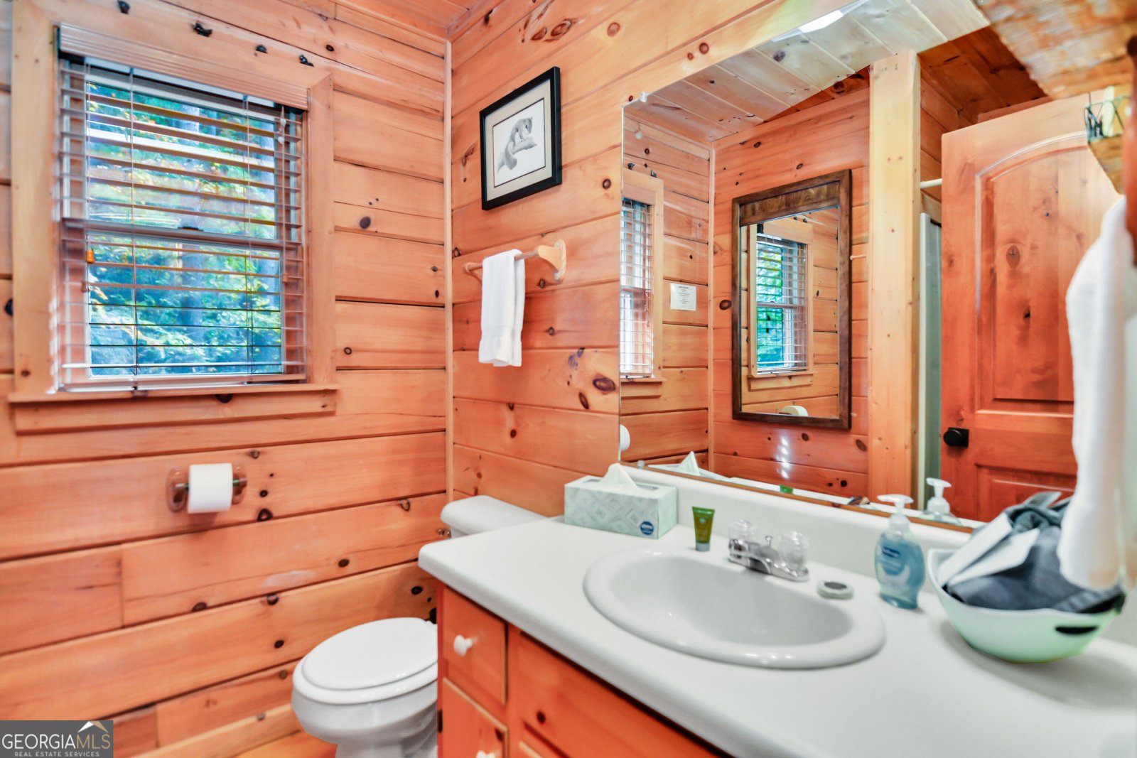 4057 Whitepath Road Ellijay - Photo 41