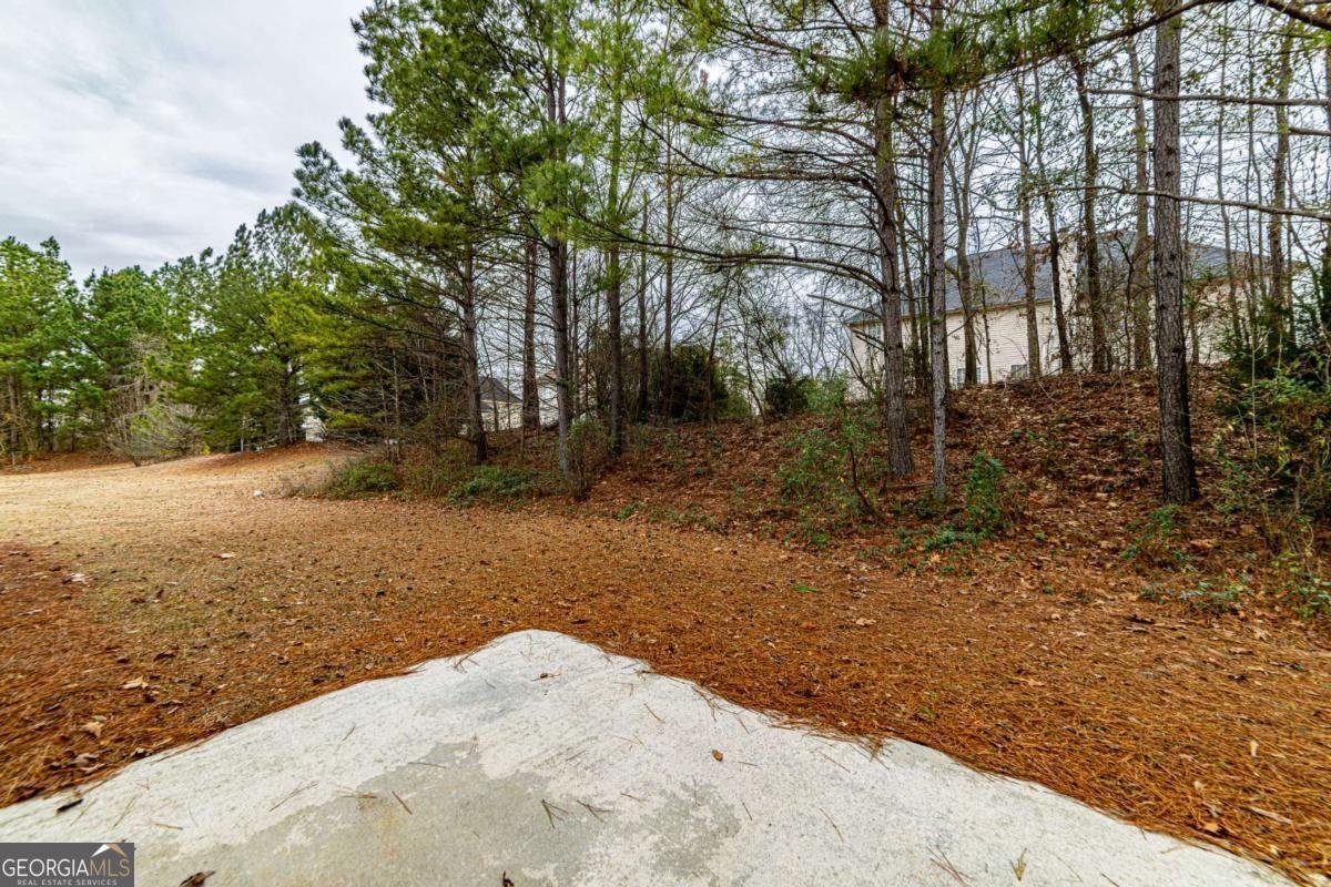 3977 Ambrose Court Ellenwood - Photo 87