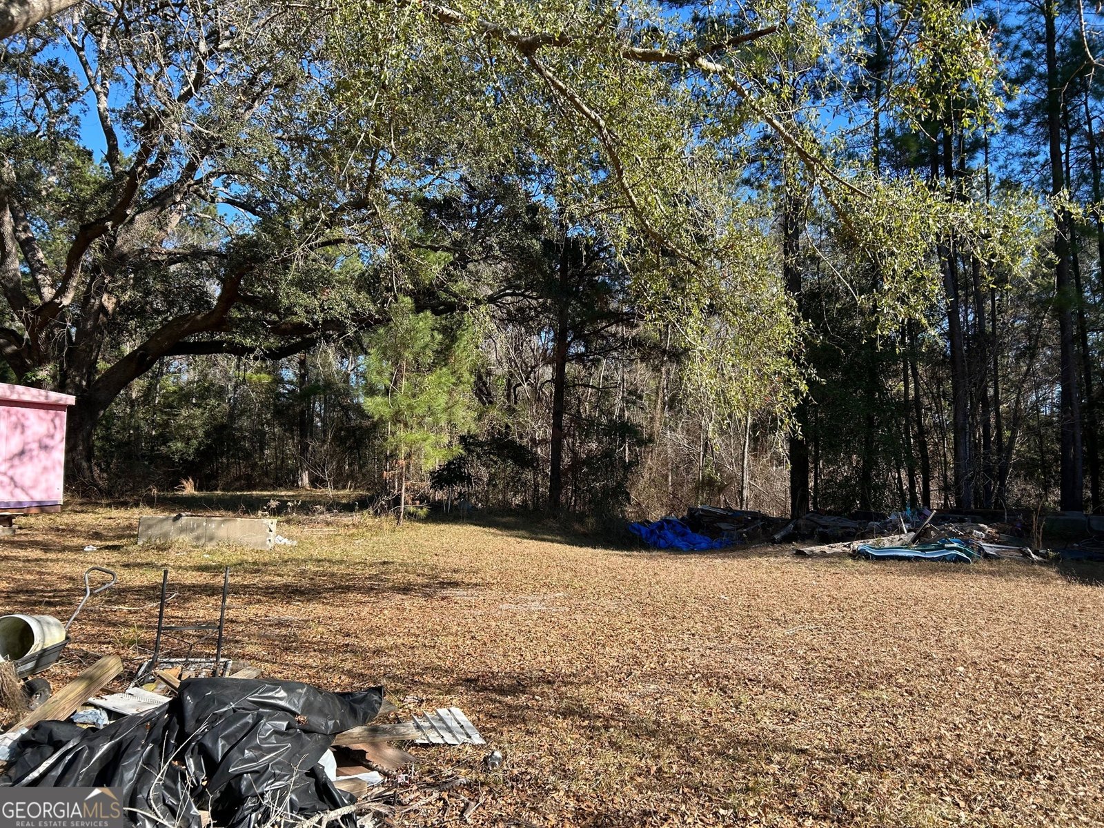 96 Annie Holt Road Glennville - Photo 14