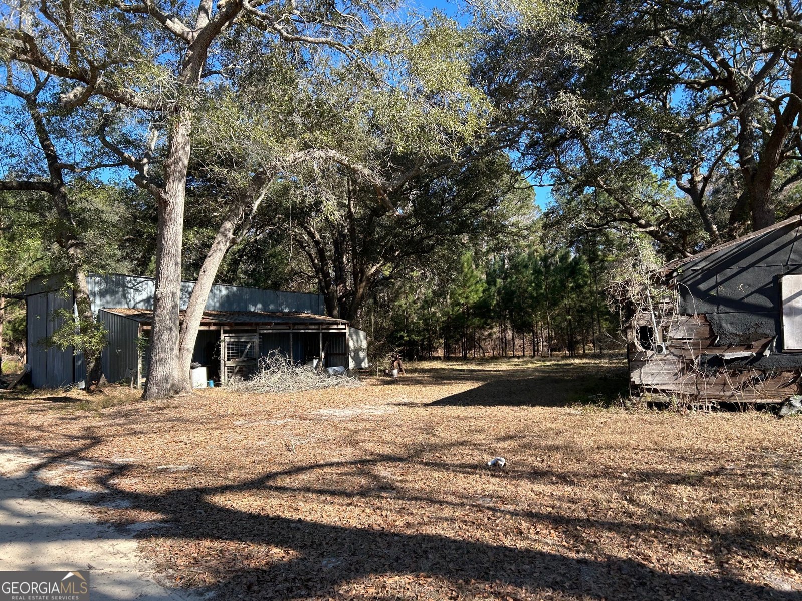 96 Annie Holt Road Glennville - Photo 16