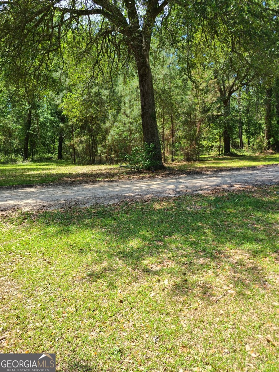 96 Annie Holt Road Glennville - Photo 6
