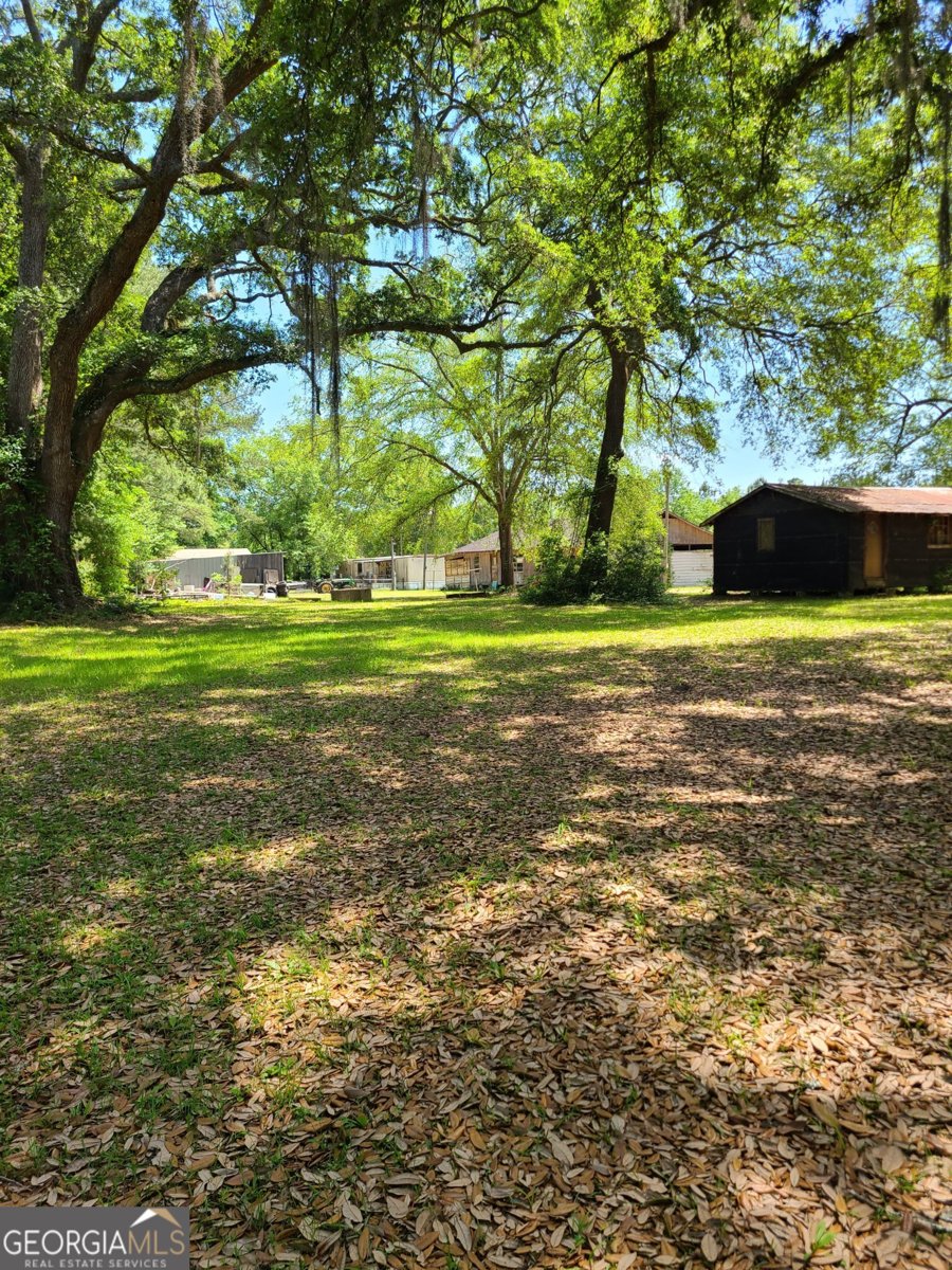 96 Annie Holt Road Glennville - Photo 7