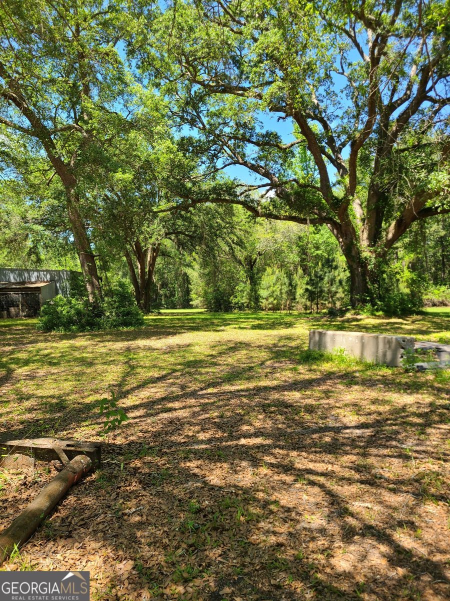96 Annie Holt Road Glennville - Photo 8