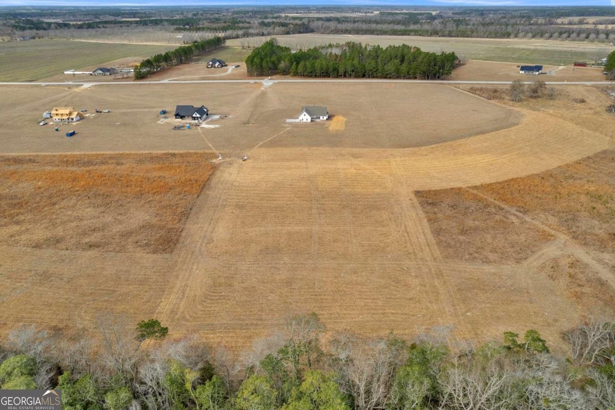 3514 Hwy 121 Highway Blackshear - Photo 43