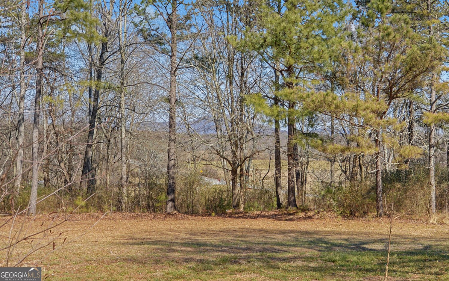 5440 Little Drive Murrayville - Photo 33