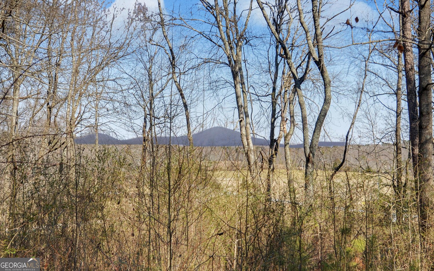 5440 Little Drive Murrayville - Photo 35