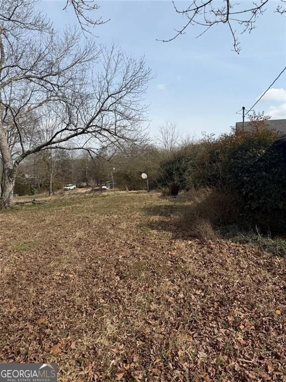 4535 Blue Grass Lane Lithia Springs - Photo 6