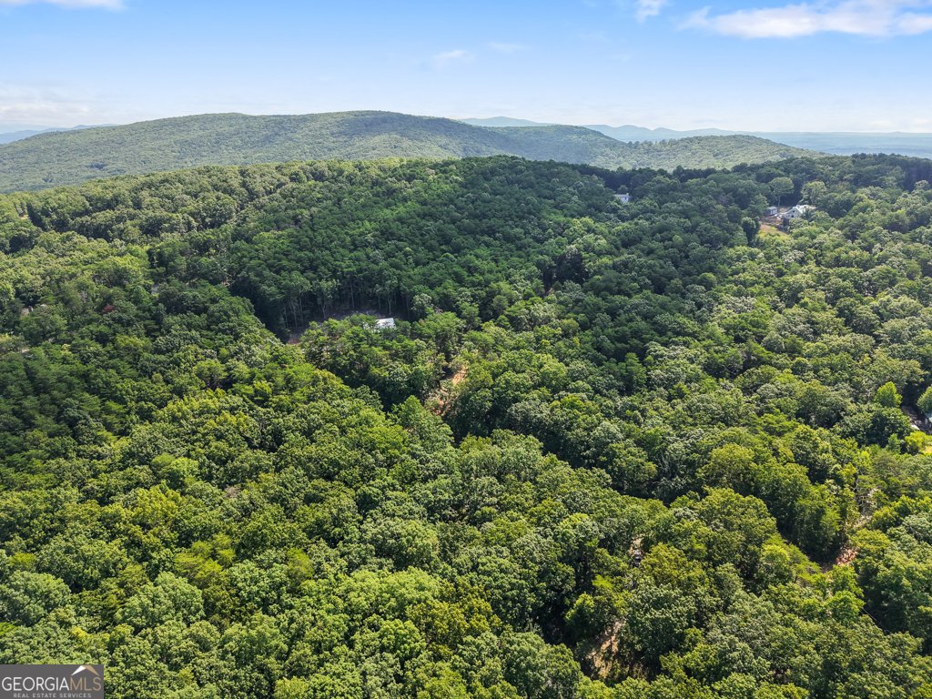 156 Mulberry Circle Jasper - Photo 6