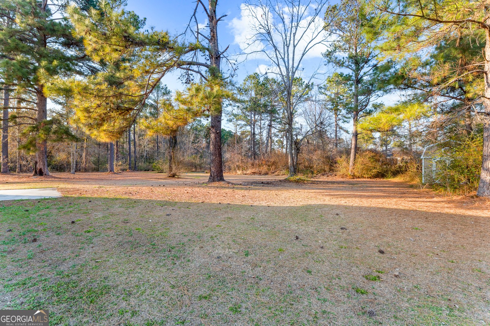 512 Colquitt Lane Statesboro - Photo 10