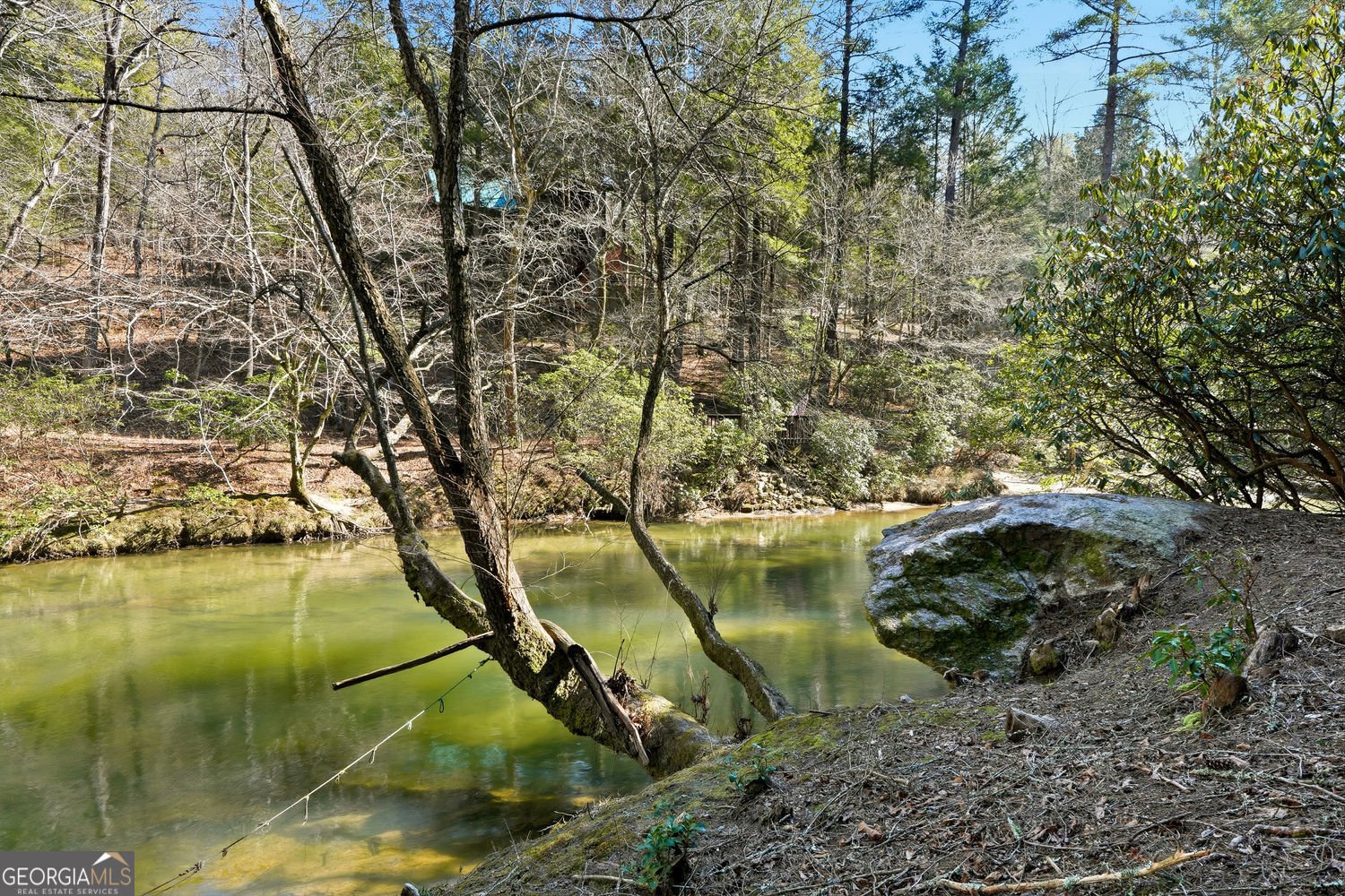 834 Indian Cave Road Ellijay - Photo 41