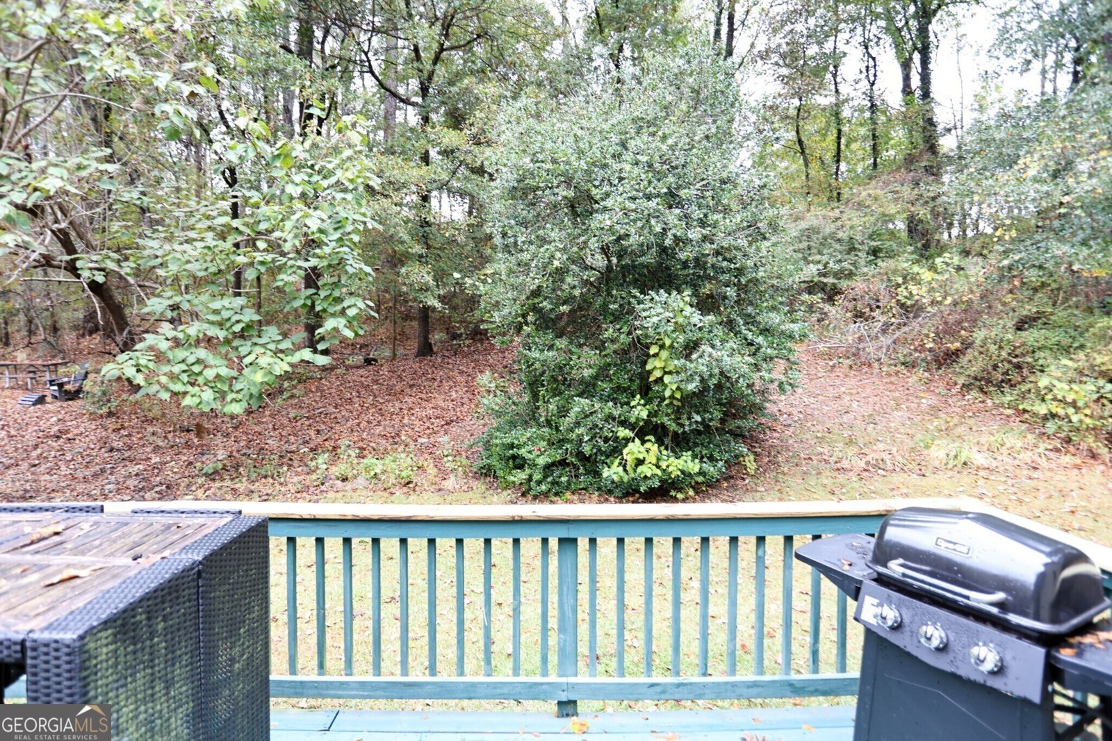 6504 Swift Creek Drive Lithonia - Photo 31