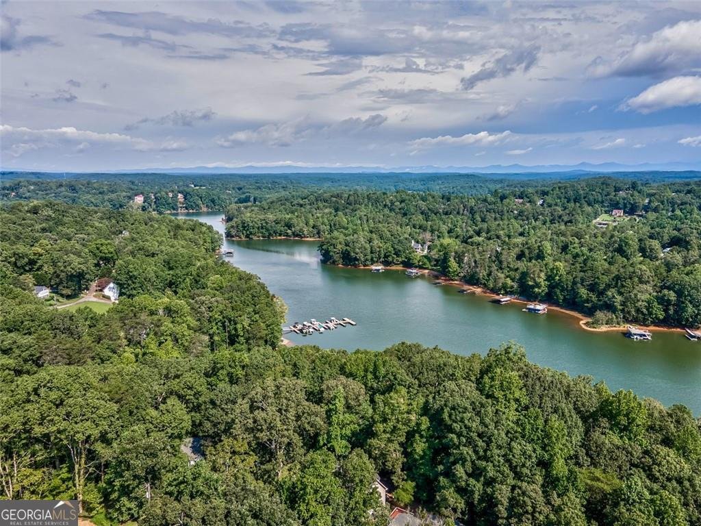 6720 Honeysuckle Lane Gainesville - Photo 44