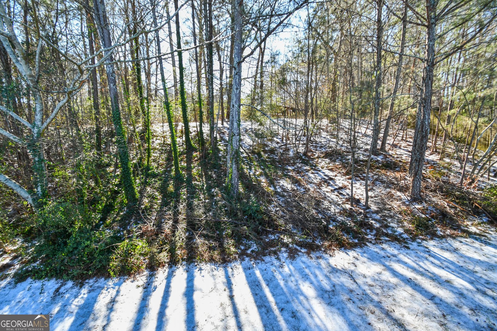 337 Mary Alice Drive Winder - Photo 51