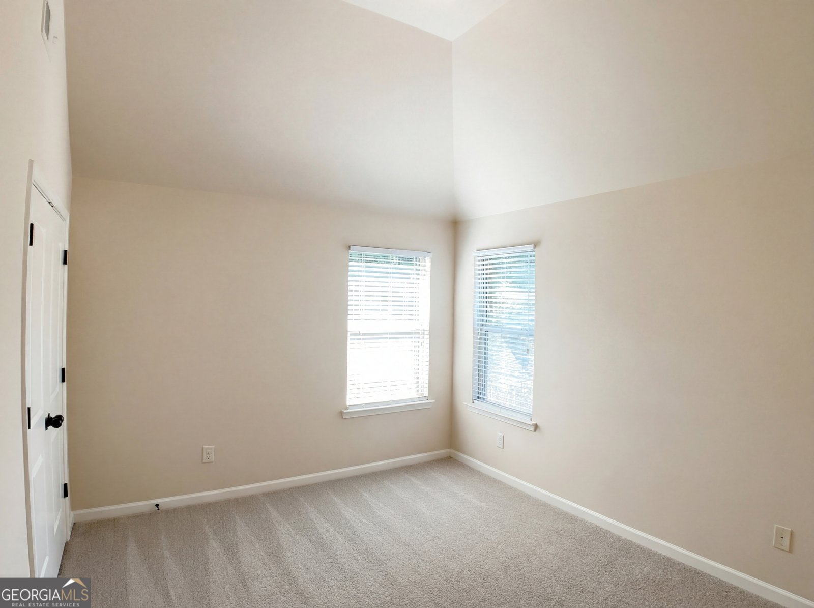 225 Lily Cove Drive Loganville - Photo 16