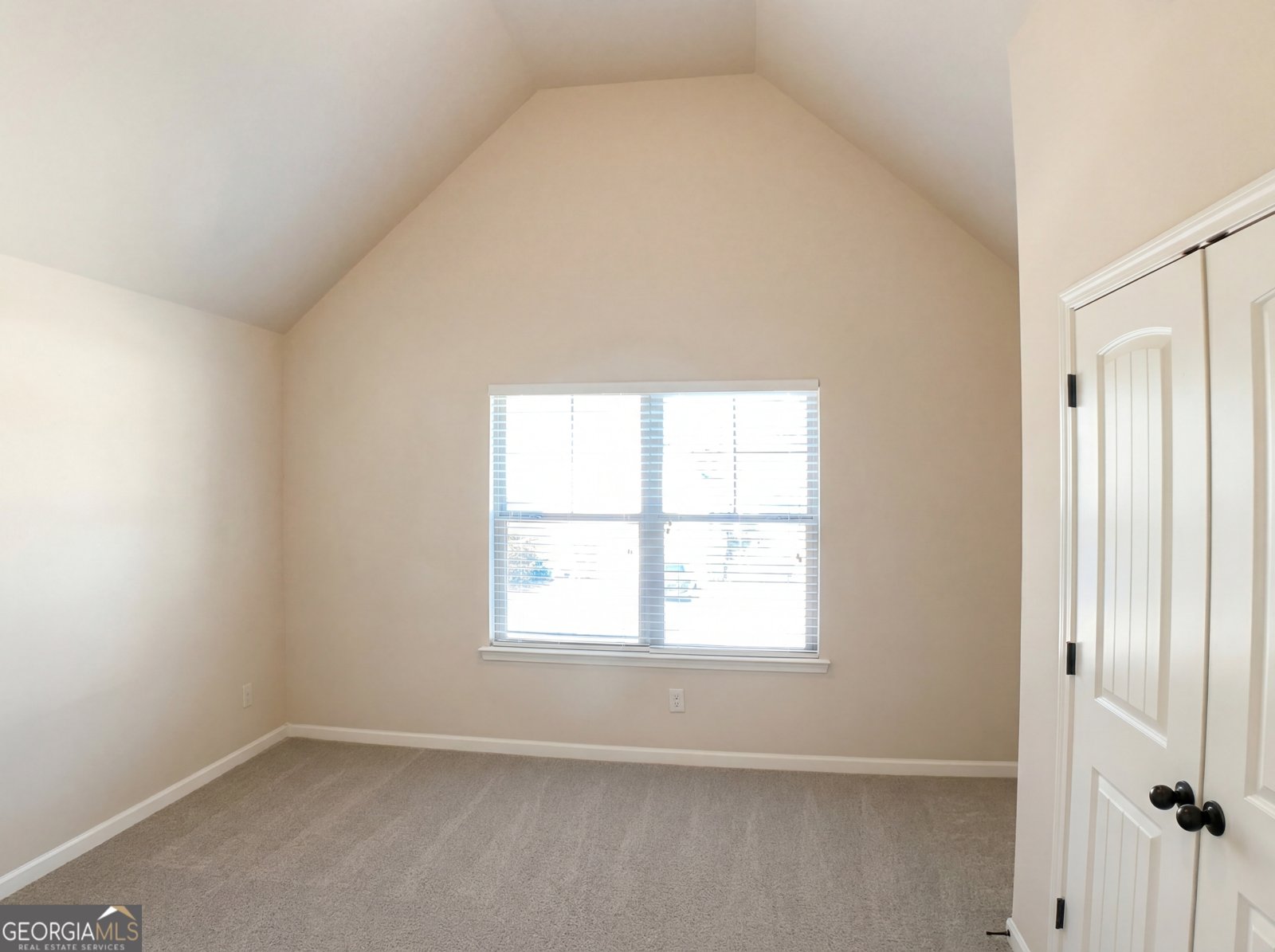 225 Lily Cove Drive Loganville - Photo 17