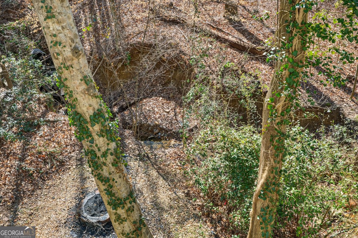 2130 Hickory Cove Cumming - Photo 66