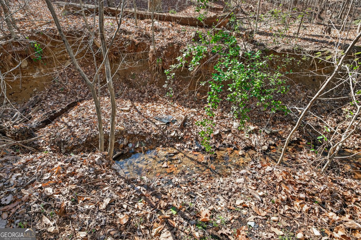 2130 Hickory Cove Cumming - Photo 68