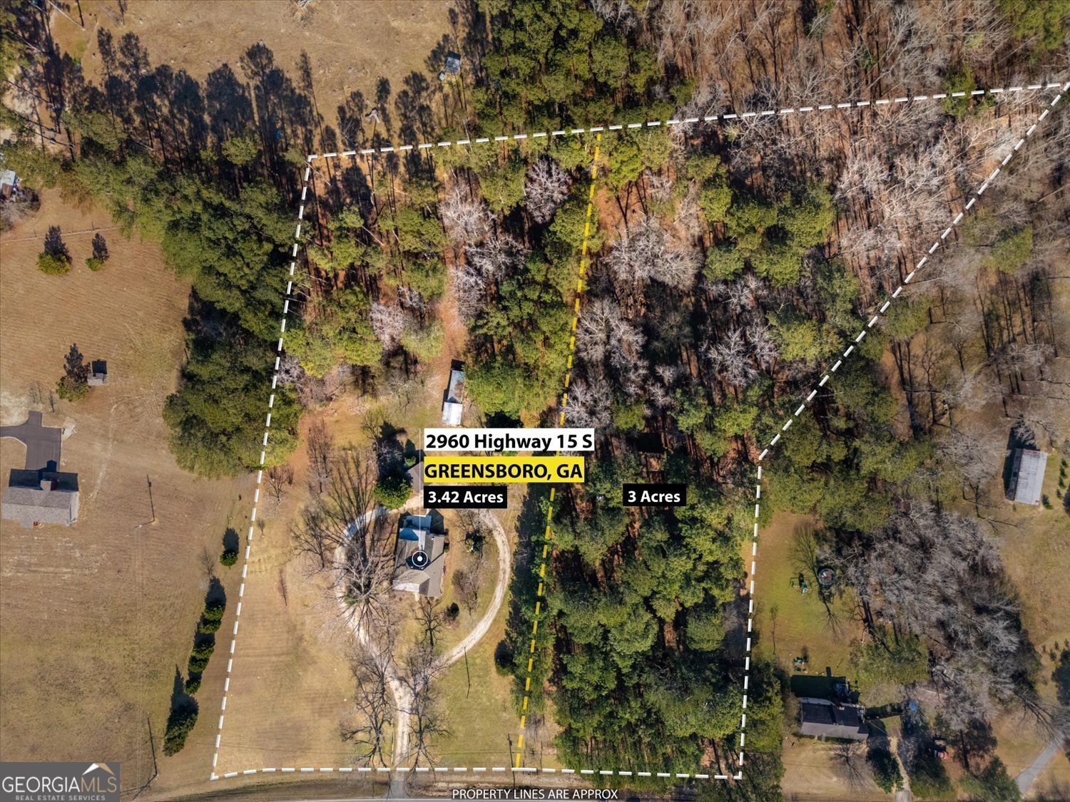 2960 Highway 15 Greensboro - Photo 49