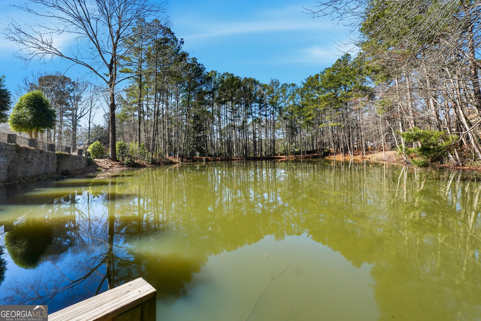 6179 Windsong Way Smoke Rise - Photo 73