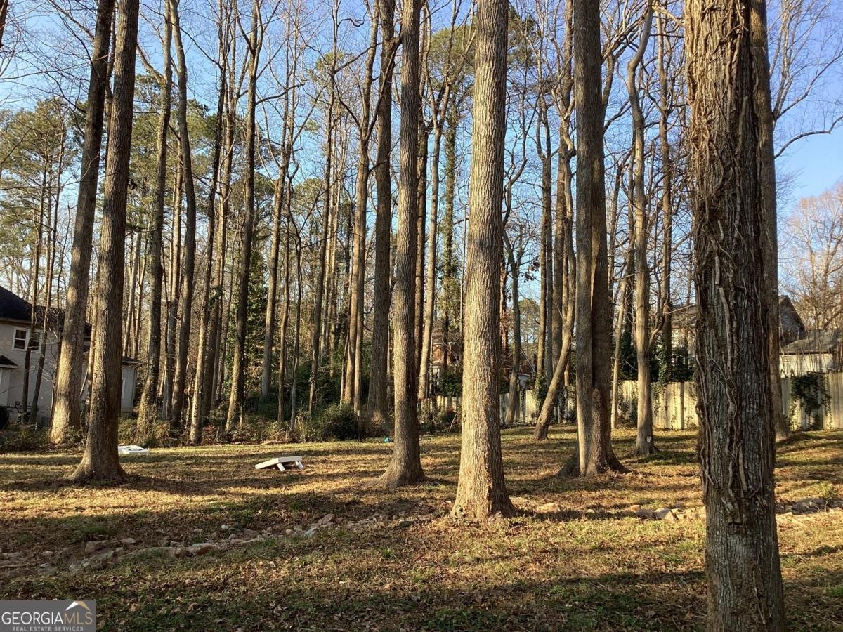 6179 Windsong Way Smoke Rise - Photo 8