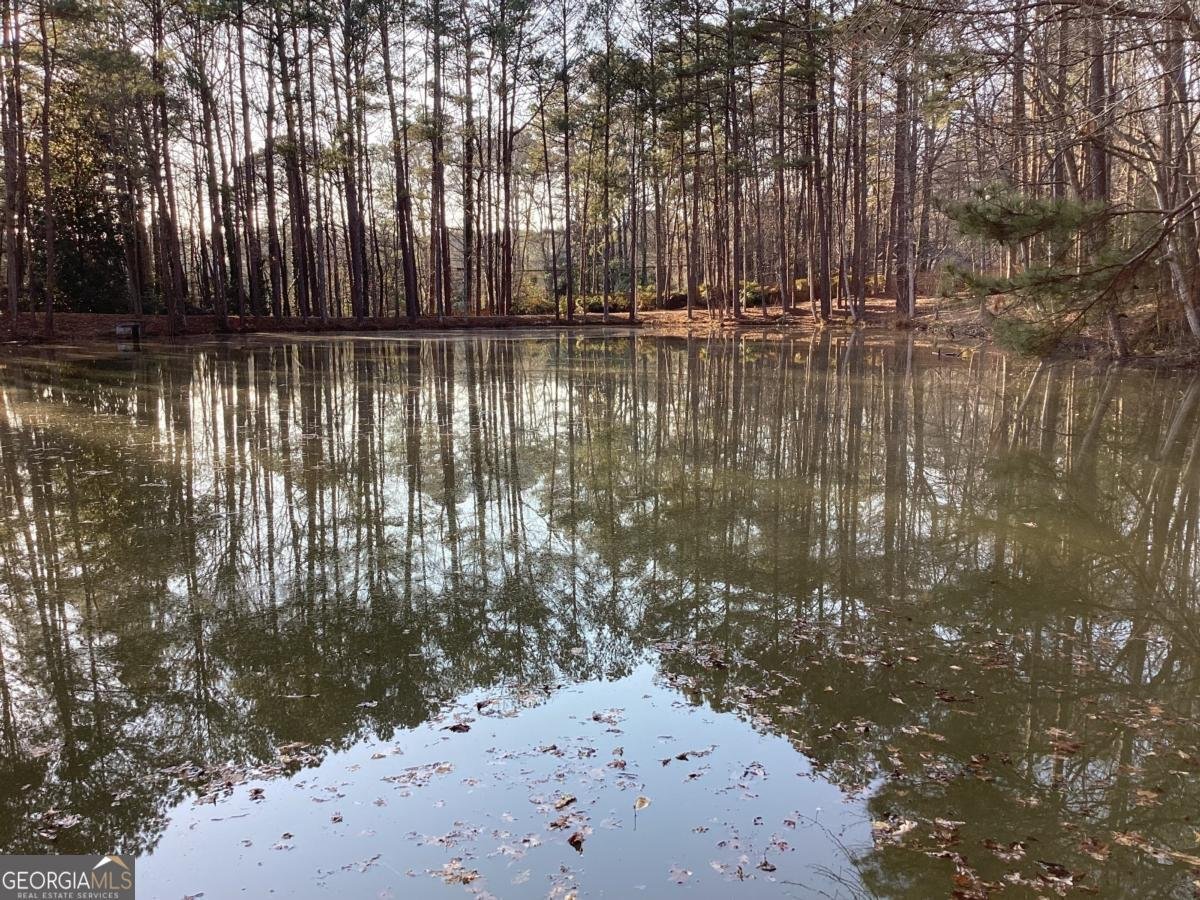 6179 Windsong Way Smoke Rise - Photo 9