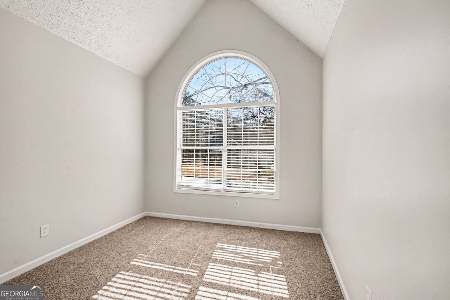 508 Daileys Creek Drive McDonough - Photo 21