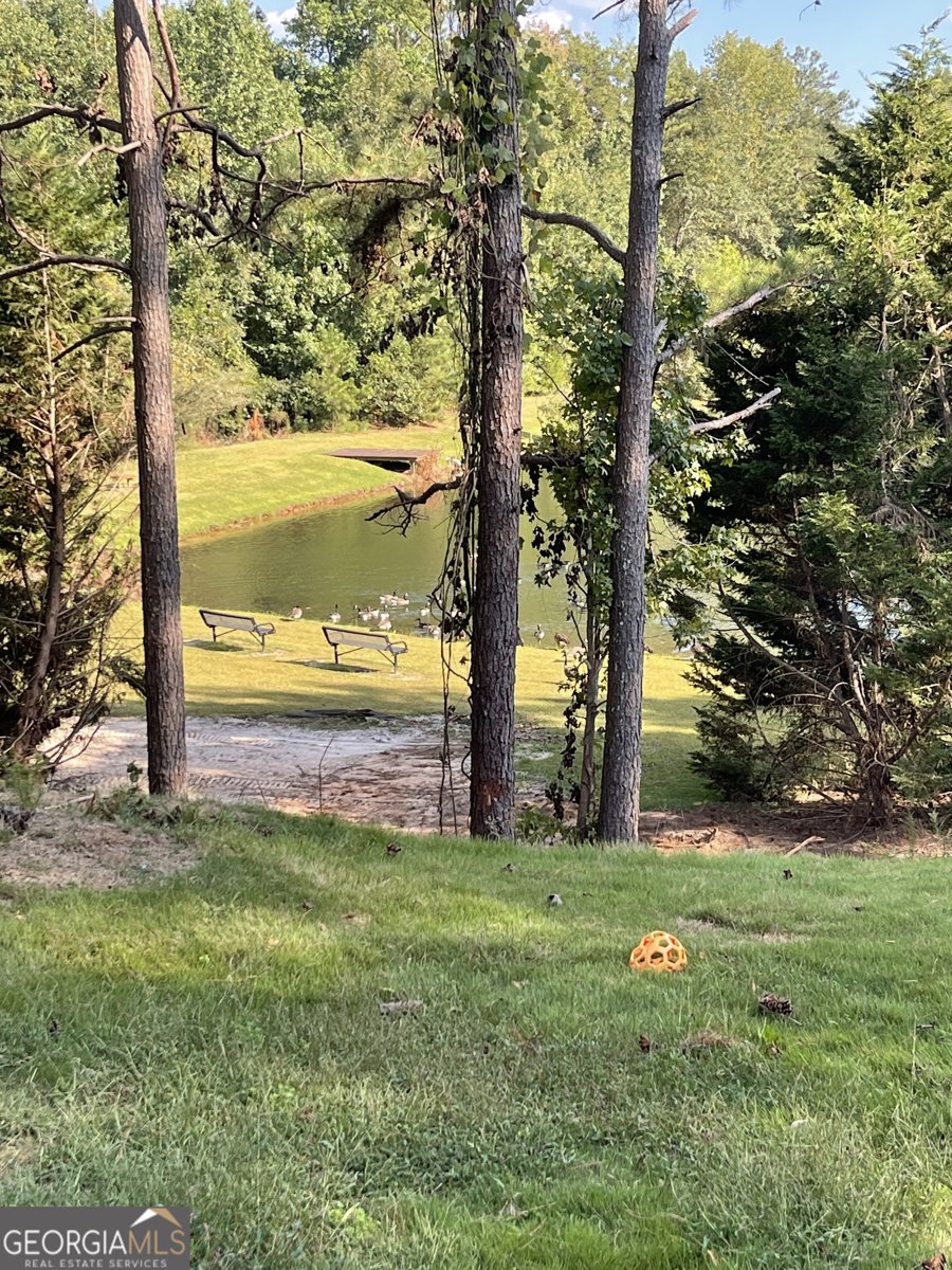 3051 North Tower Way Conyers - Photo 40