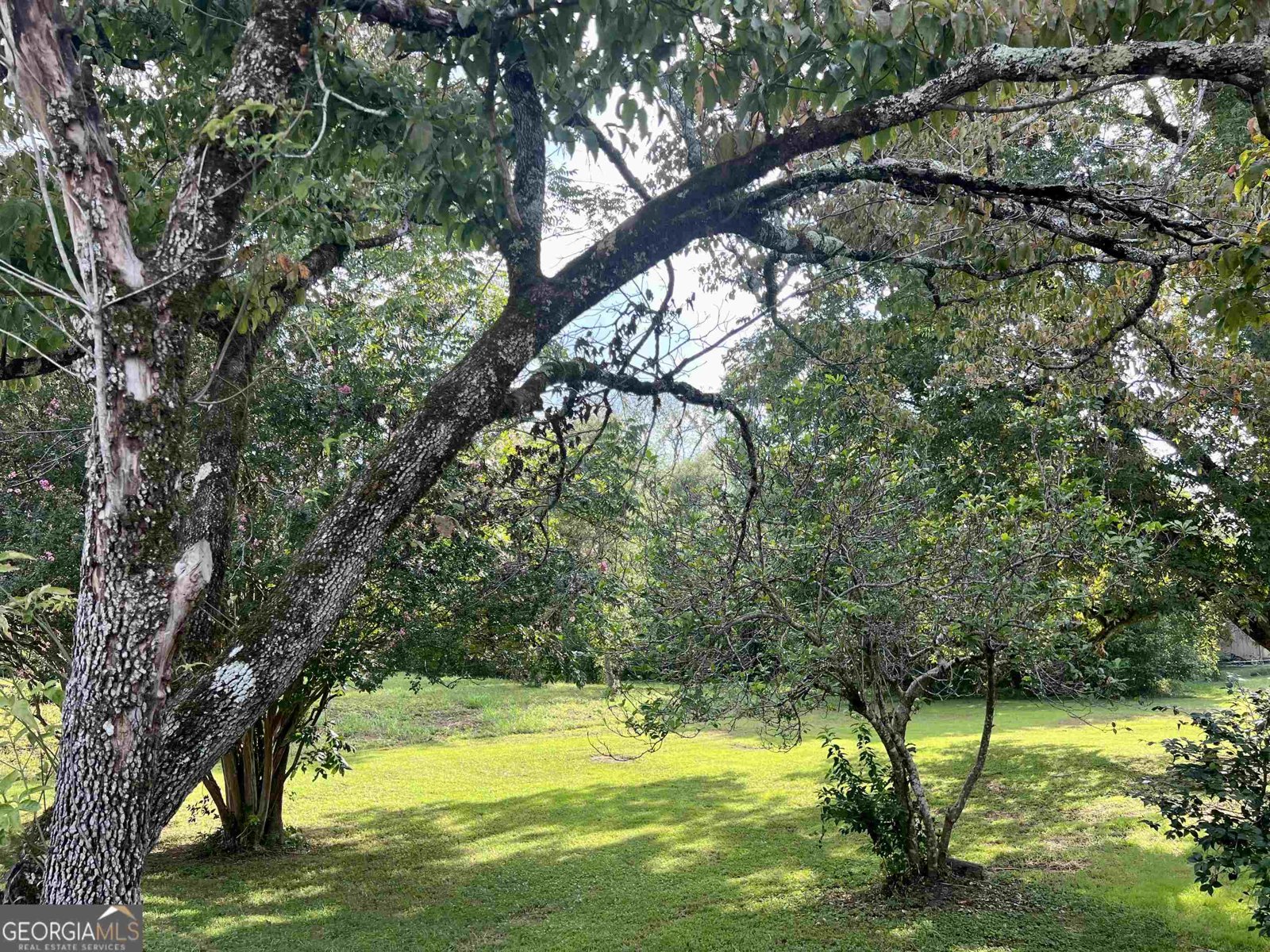 277 Newnan Street Franklin - Photo 29