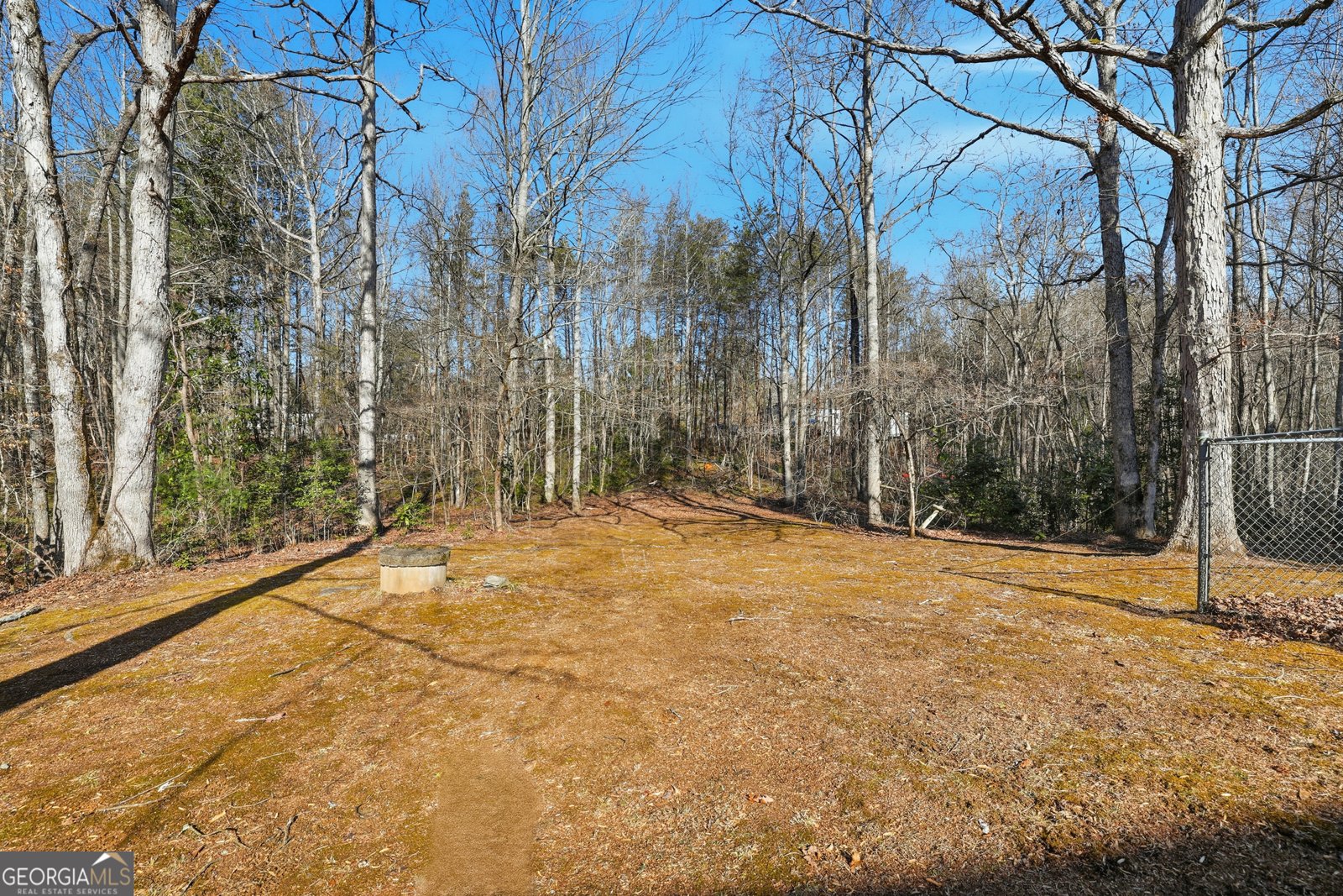 3317 Talmadge Drive Clarkesville - Photo 33