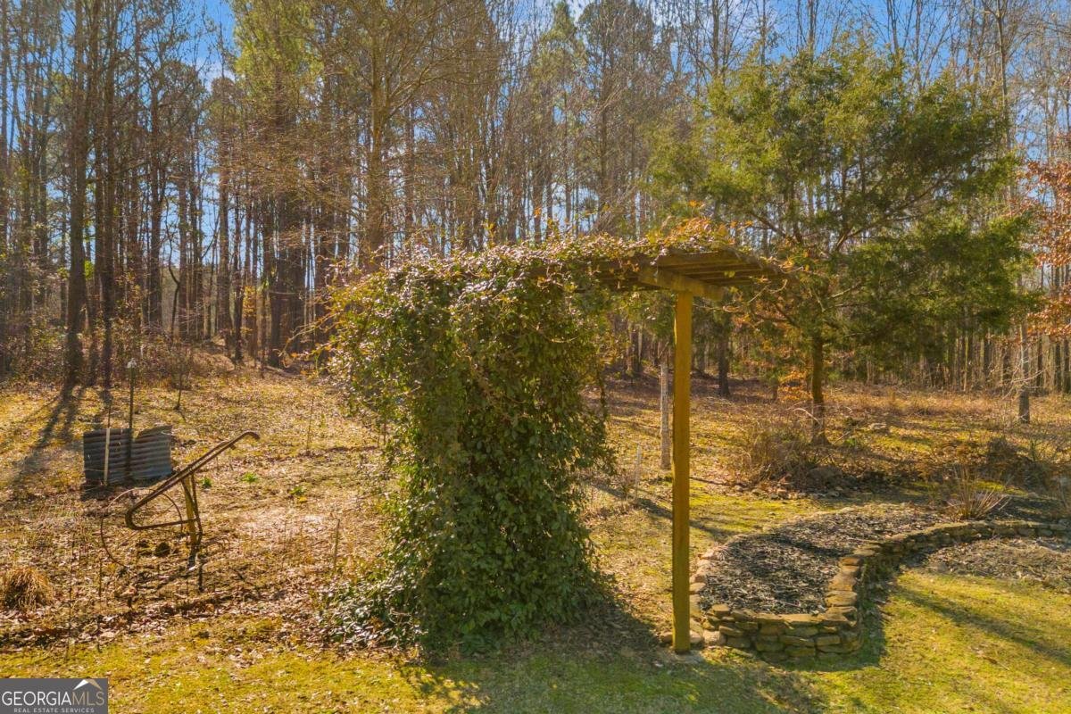 1079 Hardeman Farm Road Carnesville - Photo 47