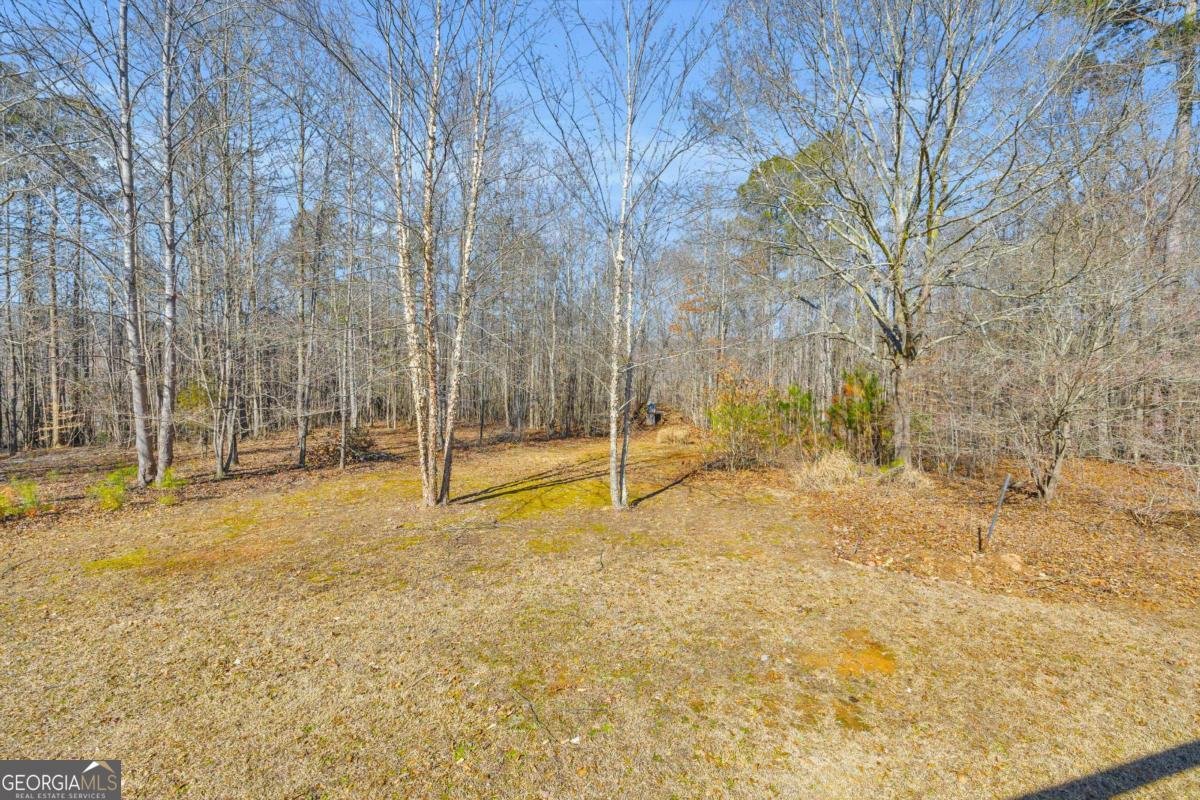 1079 Hardeman Farm Road Carnesville - Photo 9