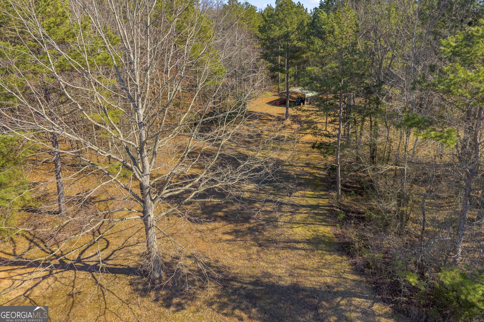 91 Almetie Drive Toccoa - Photo 58