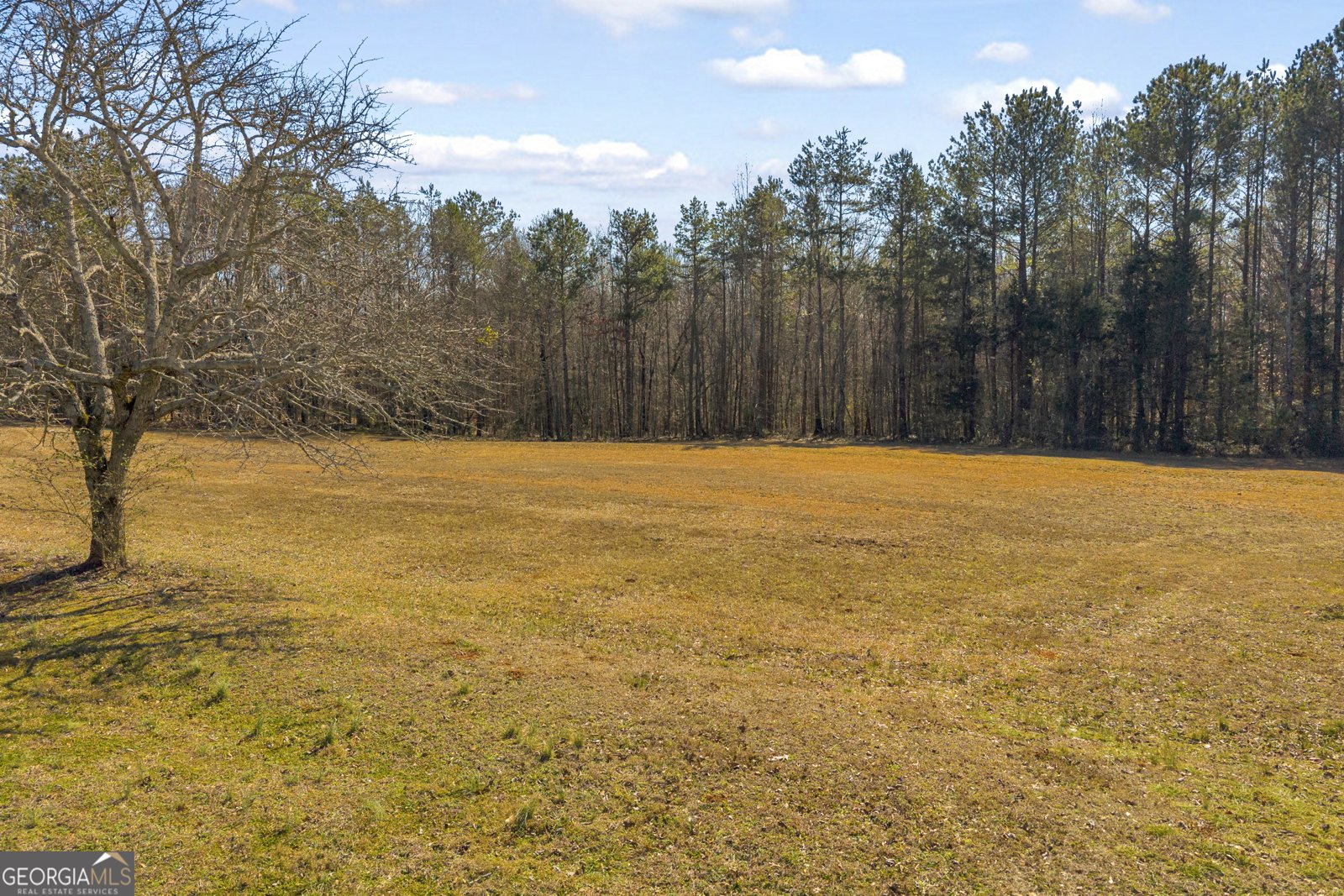 91 Almetie Drive Toccoa - Photo 59