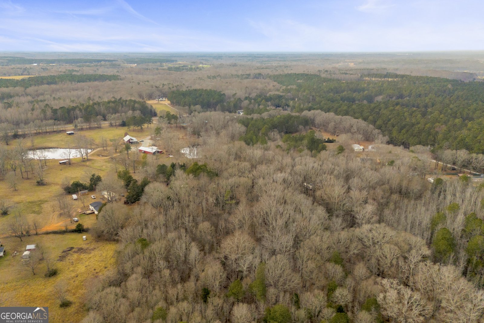 20 J O Crawford Lane Arnoldsville - Photo 6