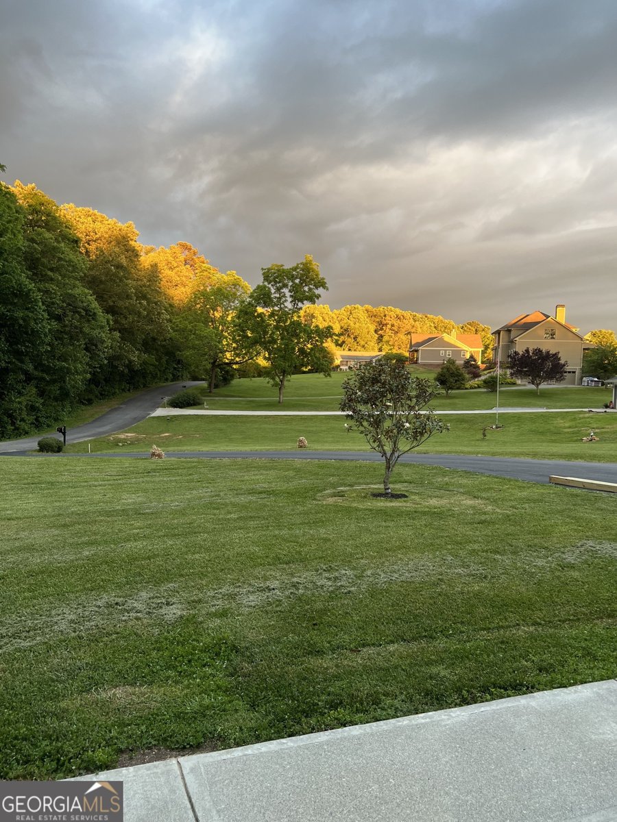 1502 Smithfield Lane Young Harris - Photo 72