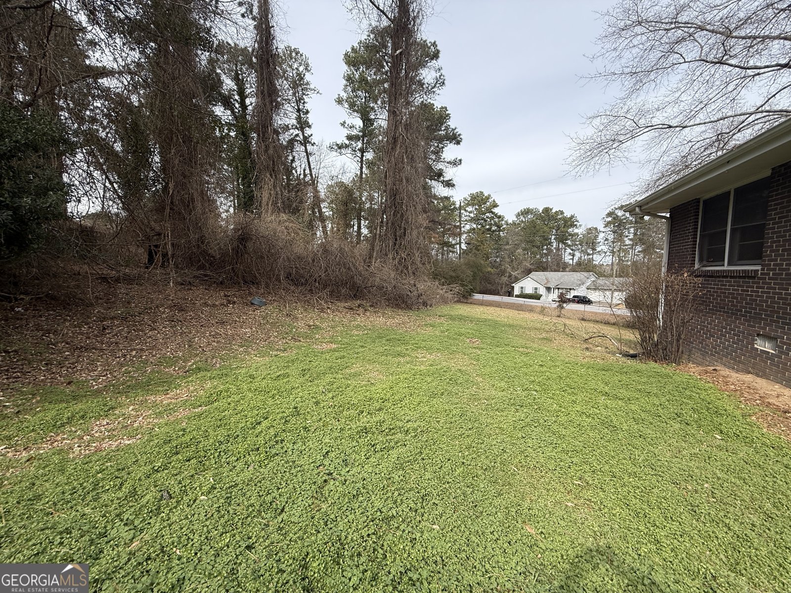 2580 Lake Capri Road Conyers - Photo 50