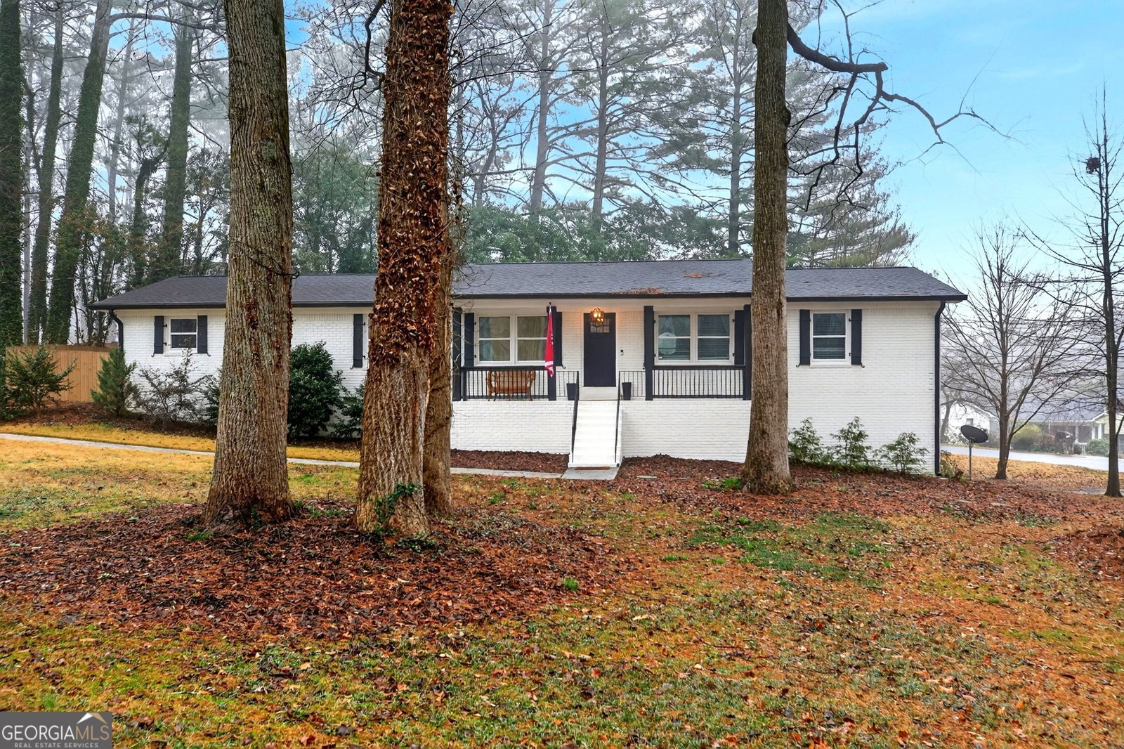 10 Valley Forest Lane Smyrna - Photo 1