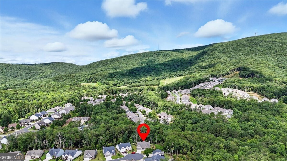 519 Amber Stone Waleska - Photo 52