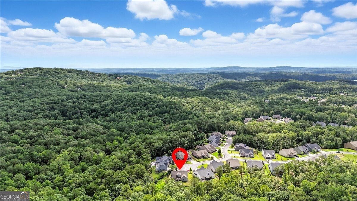 519 Amber Stone Waleska - Photo 53