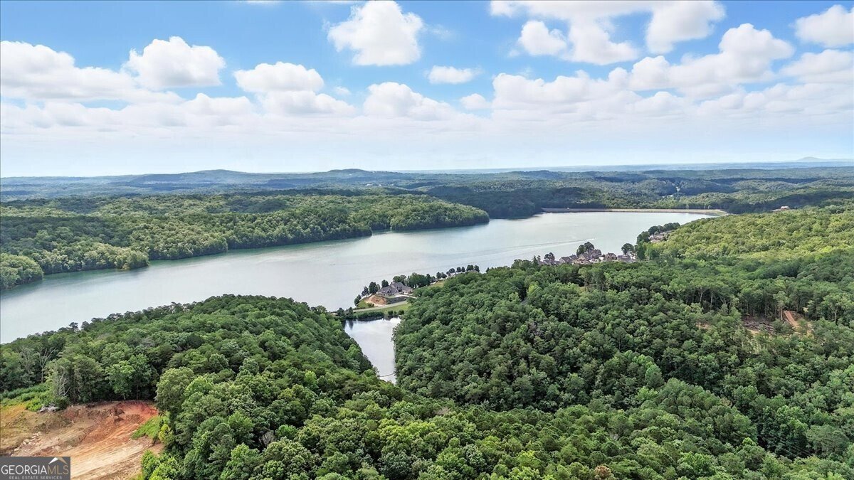 519 Amber Stone Waleska - Photo 54