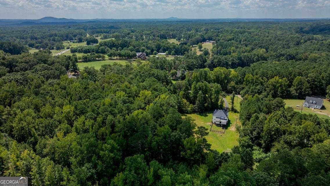 294 Gay Thompson Drive Canton - Photo 83