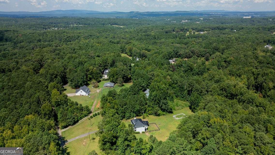 294 Gay Thompson Drive Canton - Photo 87