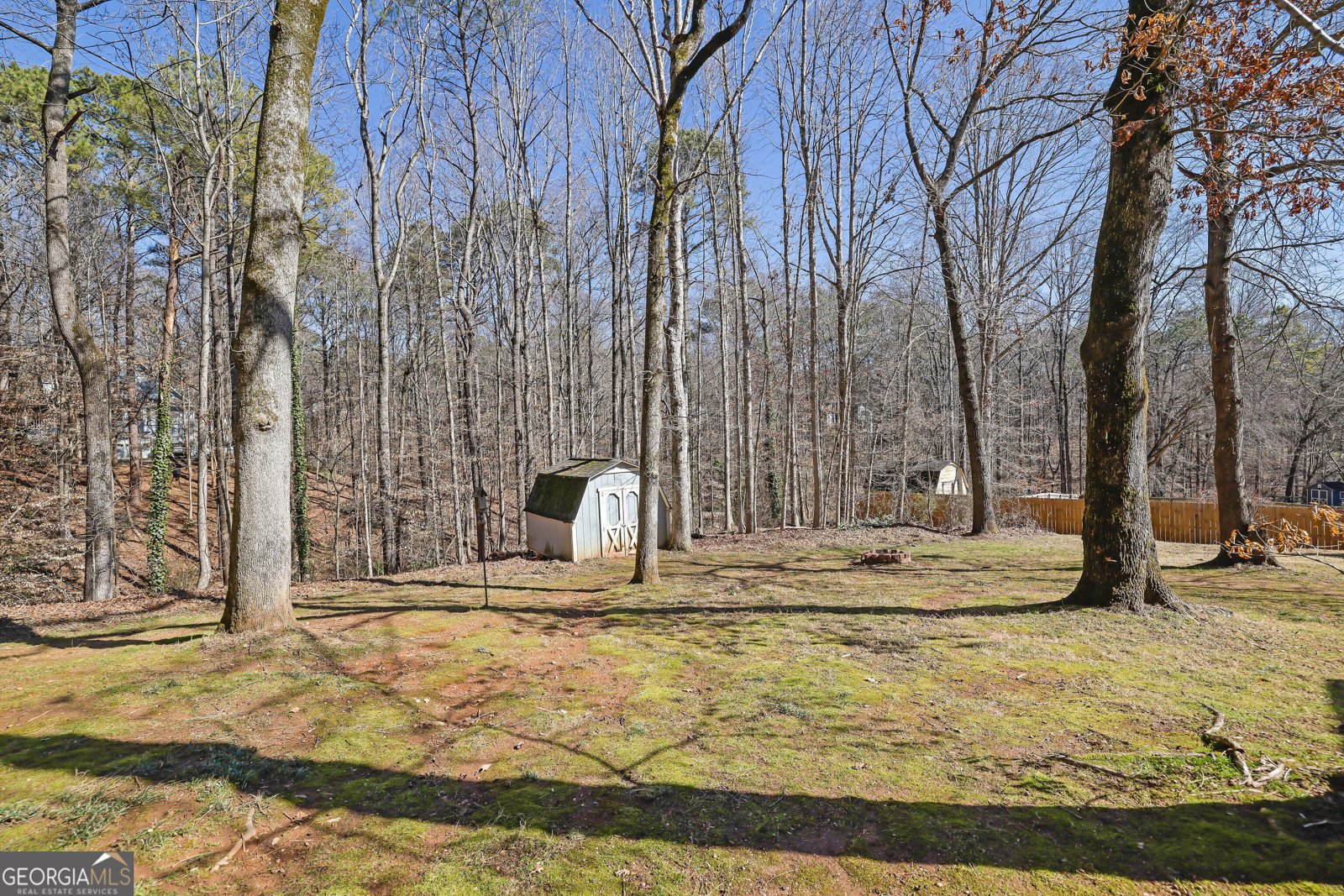 147 Springwater Trace Woodstock - Photo 16